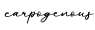 单词carpogenous书写