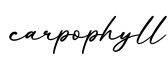 单词carpophyll书写