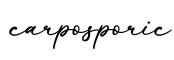 单词carposporic书写