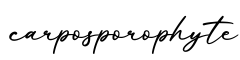 单词carposporophyte书写