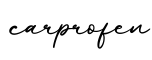 单词carprofen书写