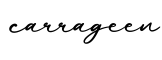 单词carrageen书写