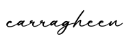 单词carragheen书写
