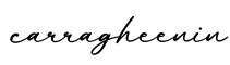 单词carragheenin书写