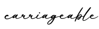 单词carriageable书写