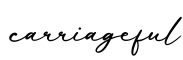 单词carriageful书写