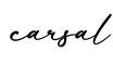 单词carsal书写