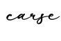 单词carse书写