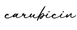 单词carubicin书写