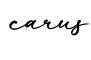 单词carus书写