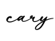 单词cary书写