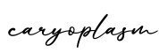 单词caryoplasm书写