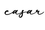 单词casar书写