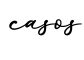 单词casos书写