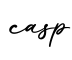 单词casp书写
