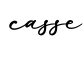 单词casse书写