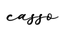 单词casso书写