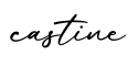 单词castine书写