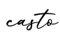 单词casto书写