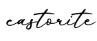 单词castorite书写