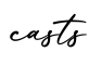 单词casts书写