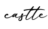 单词castte书写