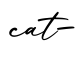 单词cat-书写