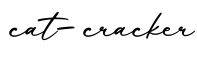 单词cat-cracker书写