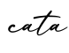 单词cata书写