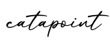 单词catapoint书写