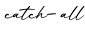单词catch-all书写