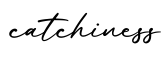 单词catchiness书写