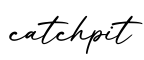 单词catchpit书写