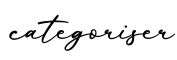 单词categoriser书写