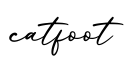 单词catfoot书写