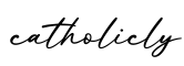 单词catholicly书写