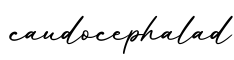 单词caudocephalad书写