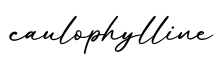 单词caulophylline书写