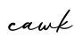 单词cawk书写