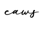 单词caws书写