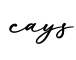 单词cays书写