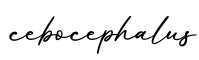 单词cebocephalus书写