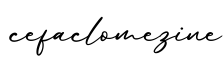 单词cefaclomezine书写