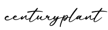 单词centuryplant书写