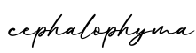 单词cephalophyma书写