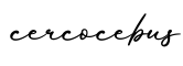 单词cercocebus书写
