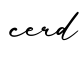 单词cerd书写