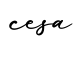 单词cesa书写