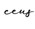 单词ceus书写