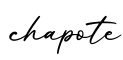 单词chapote书写